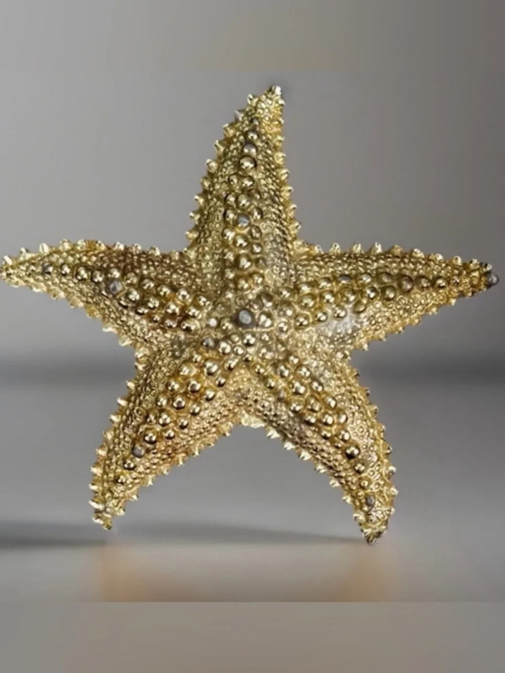 Vintage aged, goldtone raised Starfish Brooch Pin